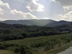 A valley, mountain and forests photographed from the side of a road.