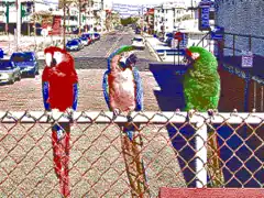 Simulated image as displayed using Tandy Video I / PCjr 640 × 200 mode with 4 colors