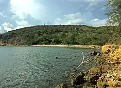 Playa Jaboncillo and Bosque Seco in Guánica