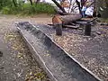 American Indian canoes (mishoons) under construction