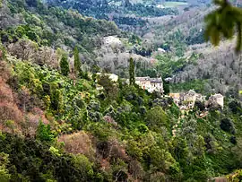 Poggio-Marinaccio seen from the hillside