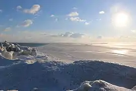 Point Pelee looking Southeast, Jan 2018