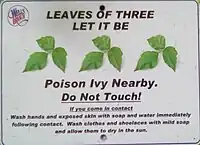 Poison Ivy warning