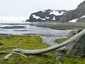 Polish Bluff from Argentina Cove