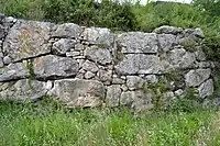 Polygonal masonry wall at Rusellae