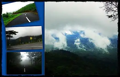 Ponmudi Hills and Road