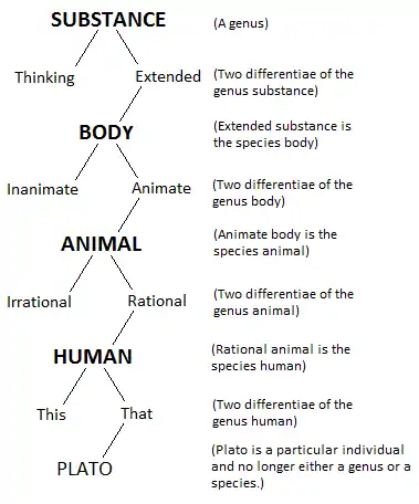 This image is an illustration of the notion of a Porphyrian Tree as it comes down to us today through the European philosophical and logical tradition.