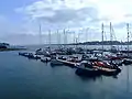 Portaferry Marina.