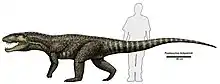 Postosuchus, a rauisuchid which was an apex predator in parts of Late Triassic North America