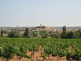 A general view of the village