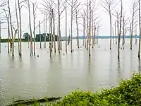 Poverty Point Reservoir in Delhi.