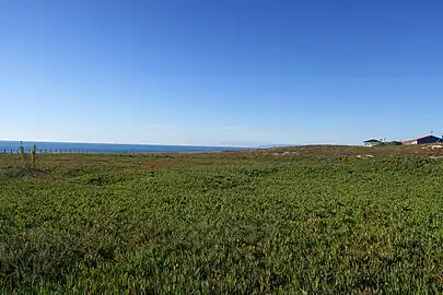 A boardwalk in Santo André, Póvoa de Varzim