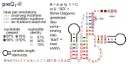 PreQ1-II riboswitch:  Secondary structure for the riboswitch marked up by sequence conservation. Family RF01054.