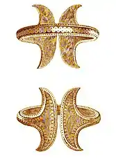 Bracelet from unknown Transylvania findspot It belongs to the series of bracelets from Pipea – Biia – Boarta