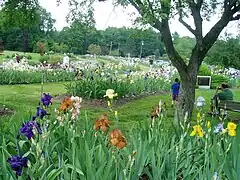 Presby Memorial Iris Gardens