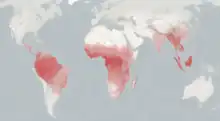 Map of the world, with parts of South America, Africa, and southeast Asia shaded red