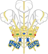 Badge of His Royal Highness The Prince of Wales