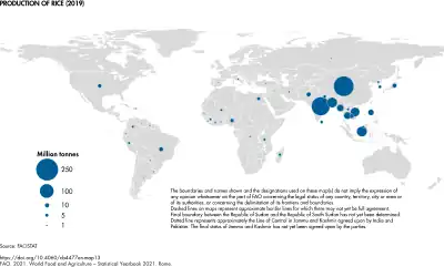 Production of rice (2021)