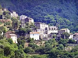 A general view of Prunelli-di-Casacconi