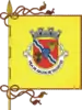 Flag of Arcos de Valdevez