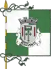 Flag of Benavente