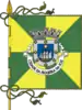 Flag of Figueira da Foz