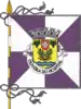 Flag of Oliveira do Hospital