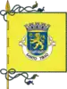 Flag of Santo Tirso