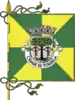 Flag of Tondela