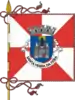 Flag of Santa Maria da Feira