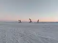 Pumpjacks at dusk on New Year's Day 2022