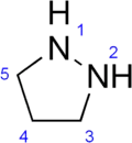 Structural formula of pyrazolidine