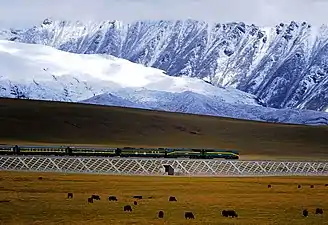 Railway about 20 kilometres (12 mi) north of Yangbajain