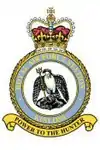 RAF Kinloss badge