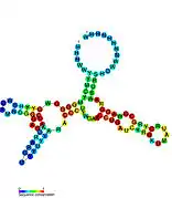 TPP riboswitch:  Secondary structure for the riboswitch marked up by sequence conservation. Family RF00059.