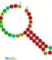 CRISPR-DR5: Secondary structure taken from the Rfam database. Family RF011318.