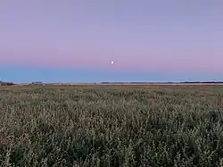 Moonrise over a field near Carlyle