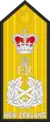 Admiral of the fleet(Royal New Zealand Navy)