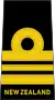 Lieutenant commander