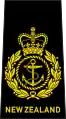 Chief petty officer