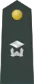 Junior Lieutenant