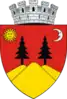 Coat of arms of Fălticeni