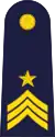 Flight Sergeant 1st Class