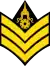 Sergeant