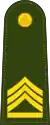 Master Sergeant 1st Class