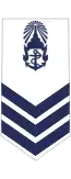 Petty Officer 1st Class