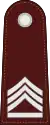 Police sergeant major