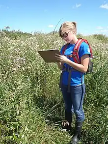 A FWS Wilderness Fellow tracking thistle beetles that were released in Canada as a biological control agent against Canada thistle.