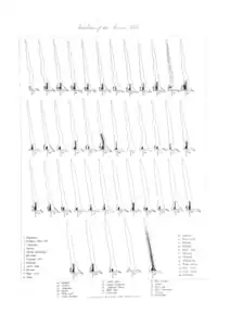 Varieties of Javanese keris