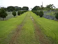 Green entrance to the Memorial with mango trees